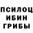 Галлюциногенные грибы Psilocybine cubensis Charlene Punay