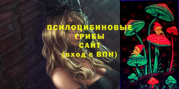 мескалин Осинники