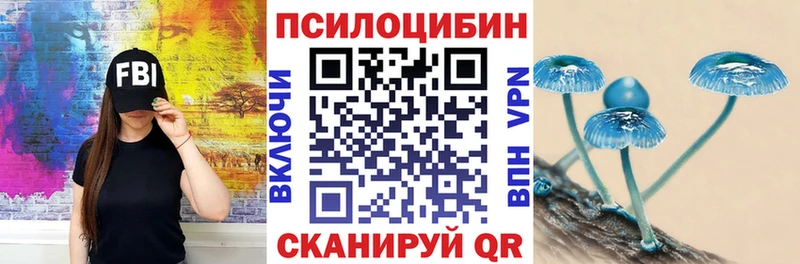 купить закладку  Галич  Псилоцибиновые грибы прущие грибы 